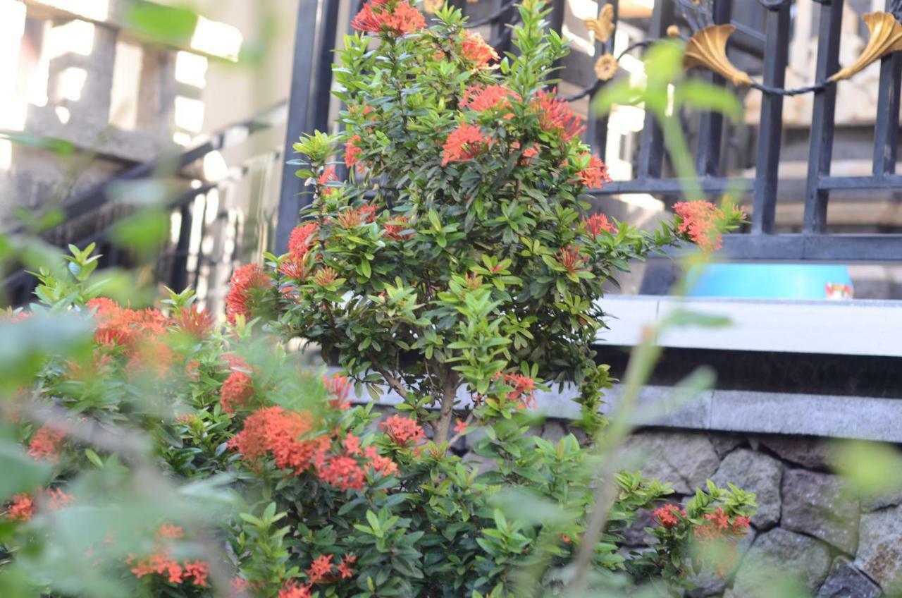 Amed Romance House ภายนอก รูปภาพ